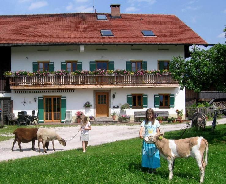 Zaissererhof Brannenburg Kültér fotó